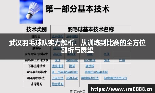 武汉羽毛球队实力解析：从训练到比赛的全方位剖析与展望